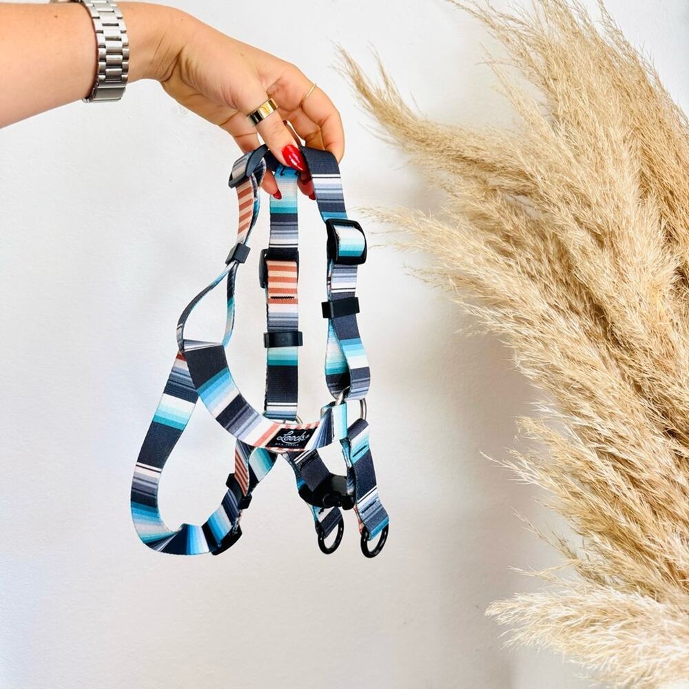 NEW LEEDS Jetty Blue White Orange Stripe Step Harness and 6โ Dog Leash $108 Set - Picture 3 of 11